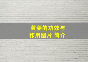 黄姜的功效与作用图片 简介